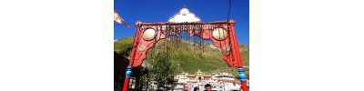 விஷால்பத்ரி